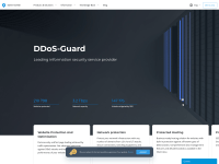 Screenshot of ddos-guard.net