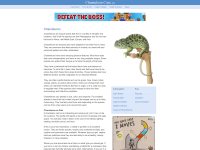 Screenshot of chameleoncare.net