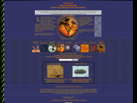 Screenshot of fossilmuseum.net