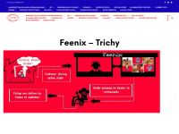 Screenshot of feenix.co.in