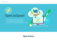 Screenshot of openlitespeed.org