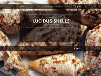 screenshot of lucidus-shells
