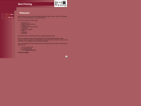 Screenshot of bestprinting1.net