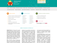 Screenshot of litrasoch.ru